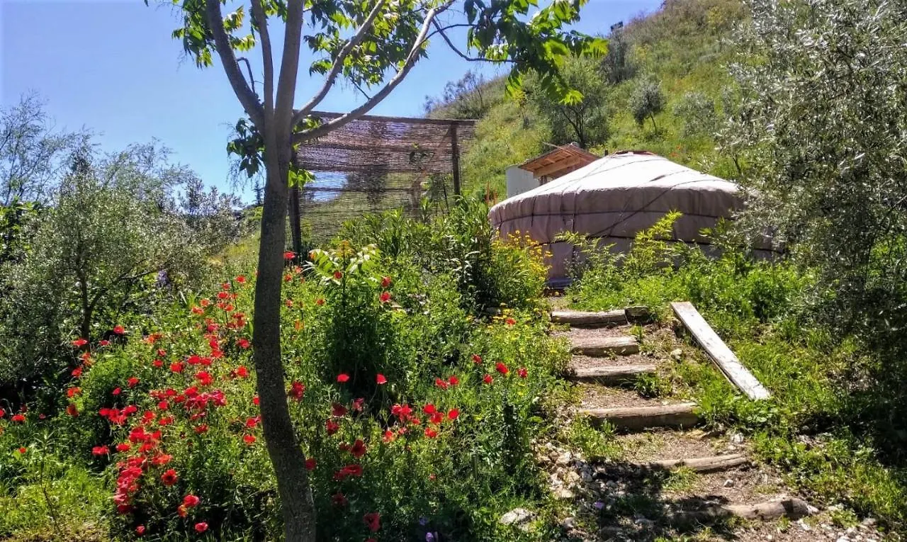 Holiday home La Molina - Casas Independientes En Naturaleza Excepcional Setenil De Las Bodegas