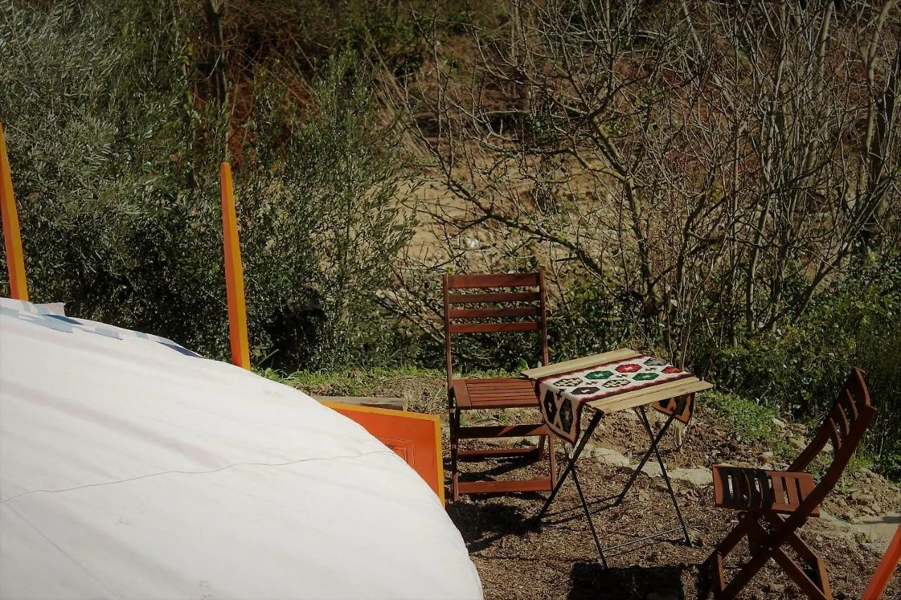 La Molina - Casas Independientes En Naturaleza Excepcional Setenil De Las Bodegas Holiday home