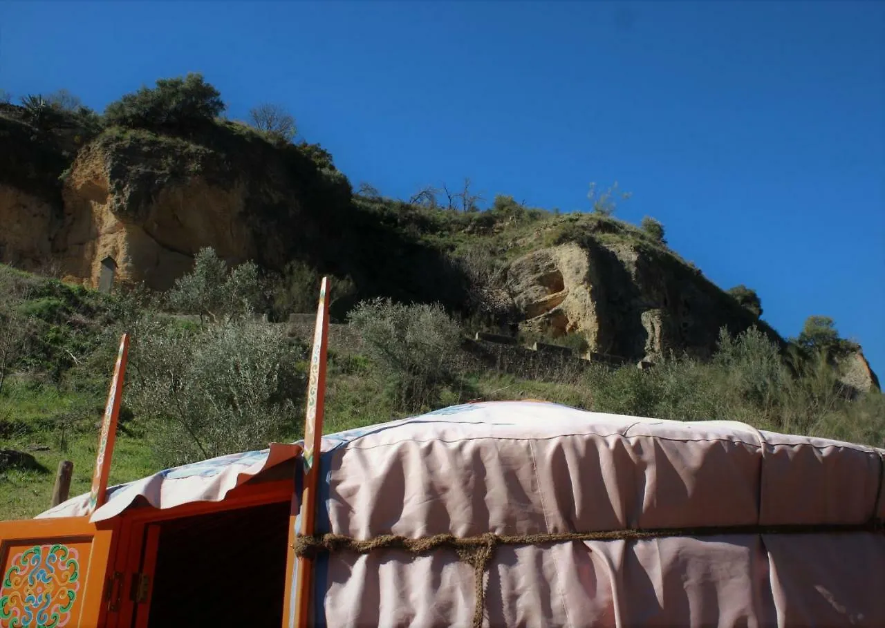 Holiday home La Molina - Casas Independientes En Naturaleza Excepcional Setenil De Las Bodegas