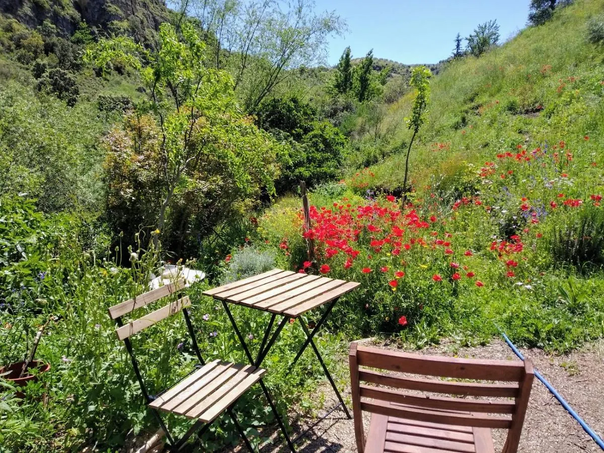 La Molina - Casas Independientes En Naturaleza Excepcional Setenil De Las Bodegas Španělsko