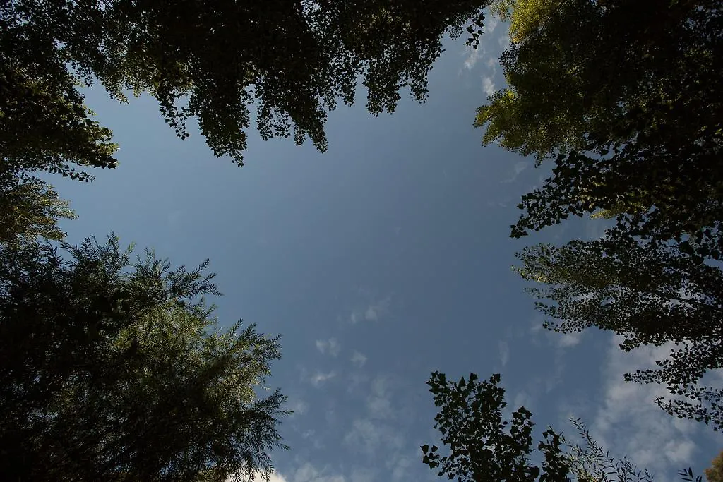 Prázdninový dům La Molina - Casas Independientes En Naturaleza Excepcional Setenil De Las Bodegas Španělsko